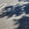 Outdoor lot parking on Southwood Drive in San Luis Obispo