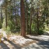 Outside parking on Delano Drive in Idyllwild-Pine Cove