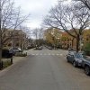 Driveway parking on West Newport Avenue in Chicago