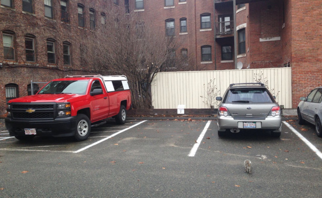  parking on Gainsborough Street in Boston