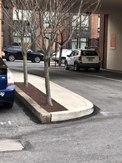  parking on North 19th Street in Philadelphia
