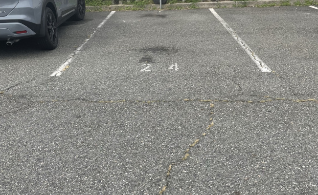  parking on Willow Lane in Staten Island