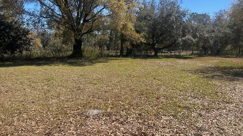 Photo of the Listing